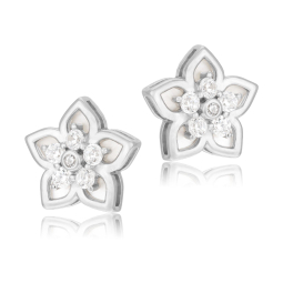 Boucles d'oreilles en...
