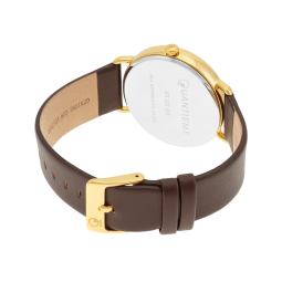 Montre homme, boîte en acier doré, bracelet en cuir marron et verre minéral