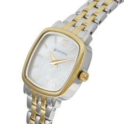 Montre femme, boîte et bracelet acier et acier doré, verre minéral