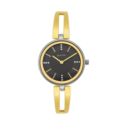 Montre femme, boîte acier, bracelet acier et acier doré et verre minéral