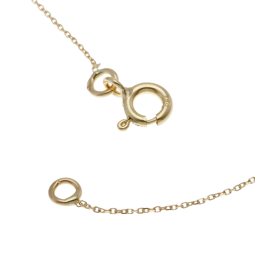 Chaîne en or jaune, maille forçat
