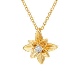 Collier en 2 ors et diamant