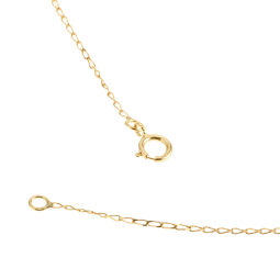 Chaîne en or jaune, maille cheval