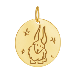 Médaille zodiaque en or jaune, capricorne