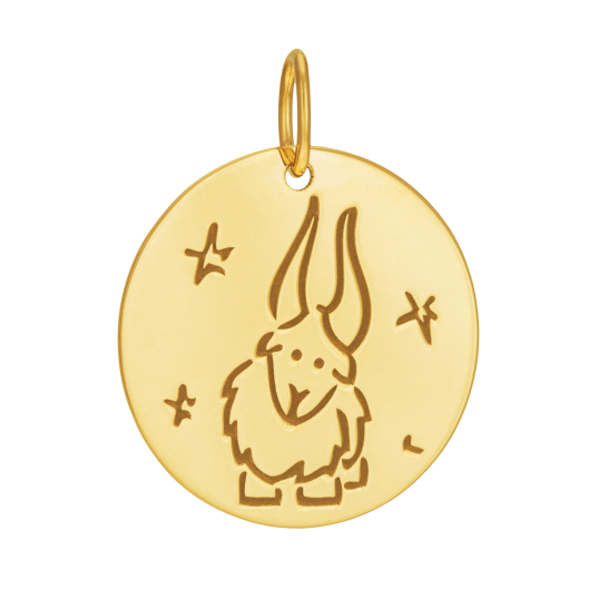 Médaille zodiaque en or jaune, capricorne