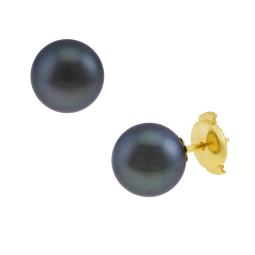 Boucles d'oreilles en or jaune, perle de culture de Tahiti.