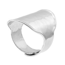 Bague en argent rhodié
