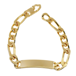 Identité en plaqué or, plaque 9,5mm, maille cheval alternée 1-3