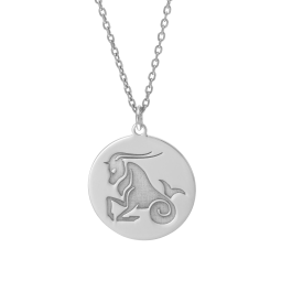 Collier en argent rhodié, zodiaque capricorne