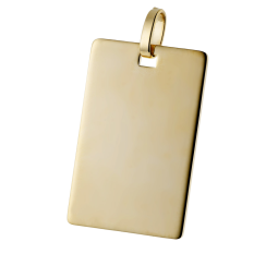 Pendentif  plaque (grand modèle) en plaqué or