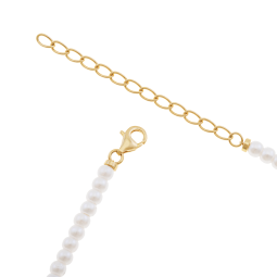 Collier en argent doré, perles synthétiques et oxydes de zirconium, tortue