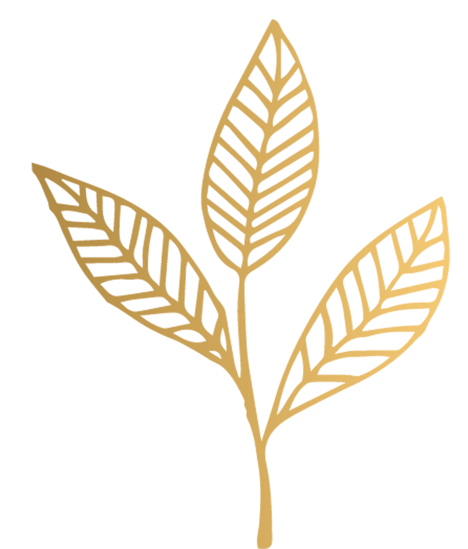 icône feuille